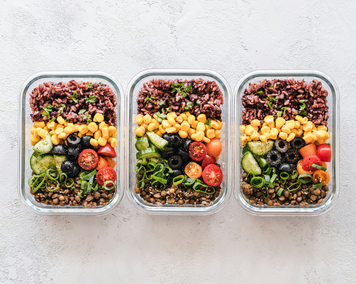 Nutrition & Training Bundle